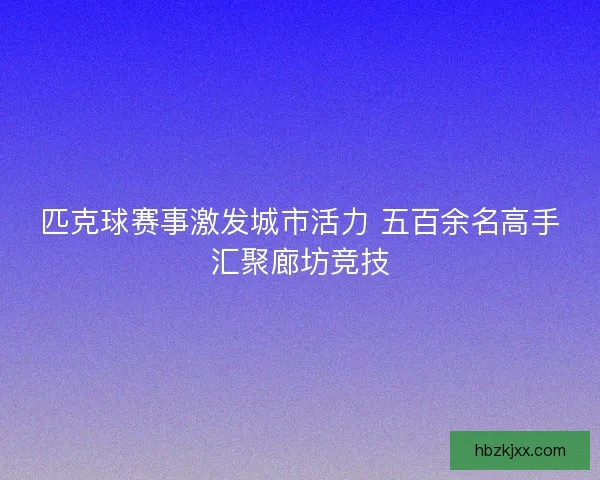 匹克球赛事激发城市活力 五百余名高手汇聚廊坊竞技